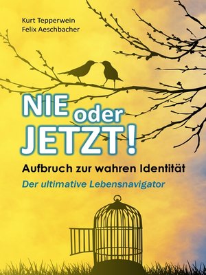 cover image of Nie oder Jetzt!  Aufbruch zur wahren Identität